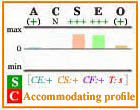 Accommodating Big Five personality profile with frame.