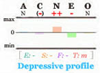 Depressive Big Five personality profile.