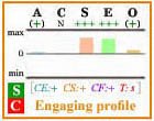 Engaging Big Five personality profile with frame.