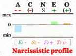 Narcissistic Big Five personality profile.