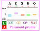 Paranoid Big Five personality profile with frame.