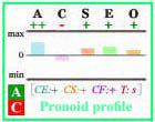 Pronoid Big Five personality profile with frames.