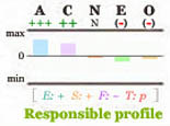 Responsible Big Five personality profile.