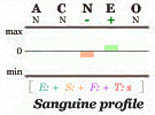 Sanguine Big Five personality profile.