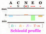 Schizoid Big Five personality profile.