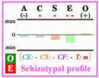 Schizotypal Big Five personality profile with frame.