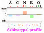 Schizotypal Big Five personality profile.