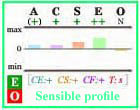 Sensible Big Five personality profile with frame.