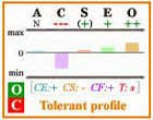 Tolerant Big Five personality profile with frame.