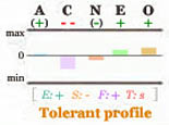 Tolerant Big Five personality profile.