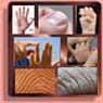 Multi-perspective palm reading.