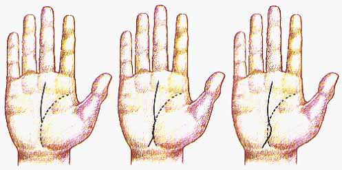 line fate connected bayne rowan reading hand examples study restrictions prof childhood figure