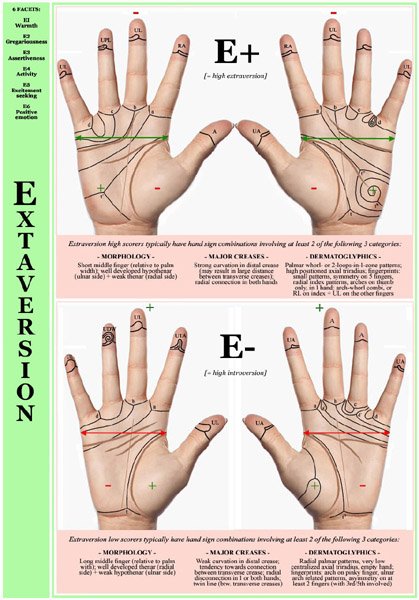 Hand Charts for Extraversion vs. Introversion!