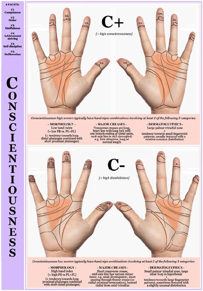 Hand Charts for Conscientiousness vs. Casualness!