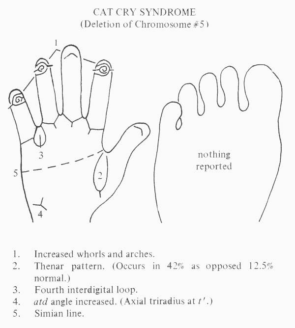 Cri Du Chat Statistics Chart