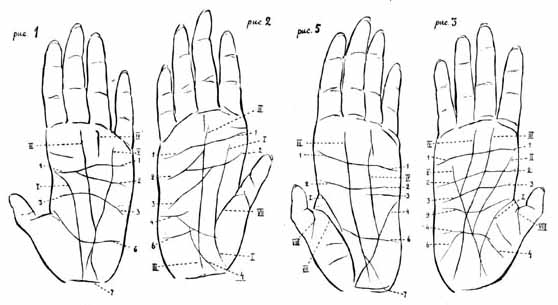 Chimpanzee palmar crease drawings.