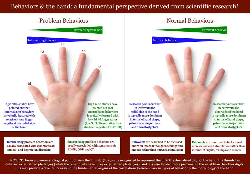 Behaviors and the hand: a fundamental perspective derived from scientific research.