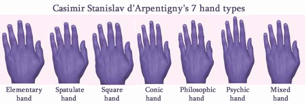 Casimir Stanislav d'Arpentigny's 7 hand types: elementary hand, spatulate hand, square hand, conic hand, philosophic hand, psychic hand, mixed hand.