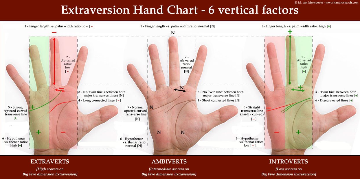 The simian line relates to hand factor 5 inside this Extraversion Hand Chart.