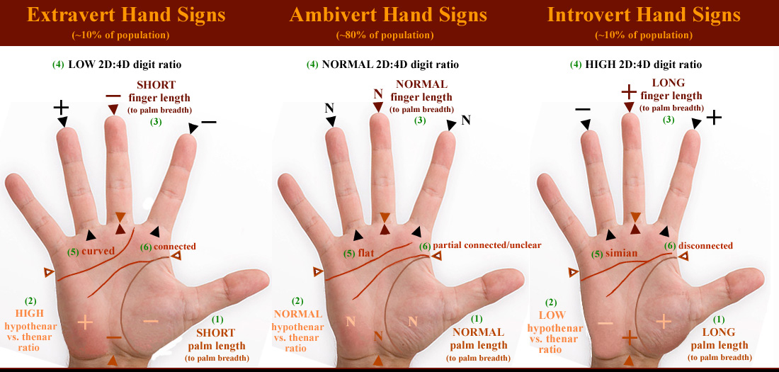 Phantom hands describing hand signs for extraversion / introversion.