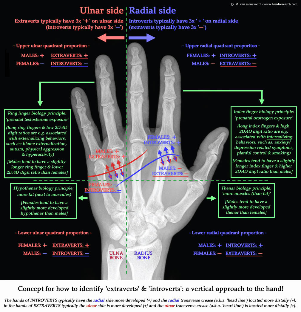 Extraversion Hand Chart: 6 vertical hand factors!