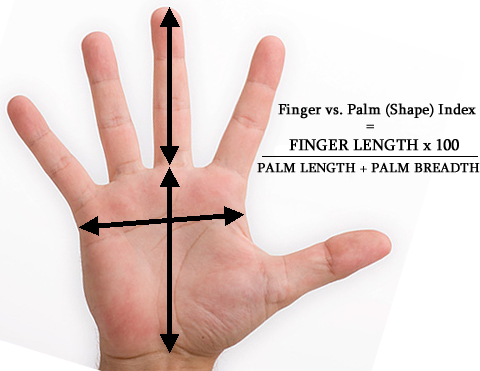 Finger vs. palm (shape) index: how to measure finger length versus palm shape (with palm breadth & palm length).