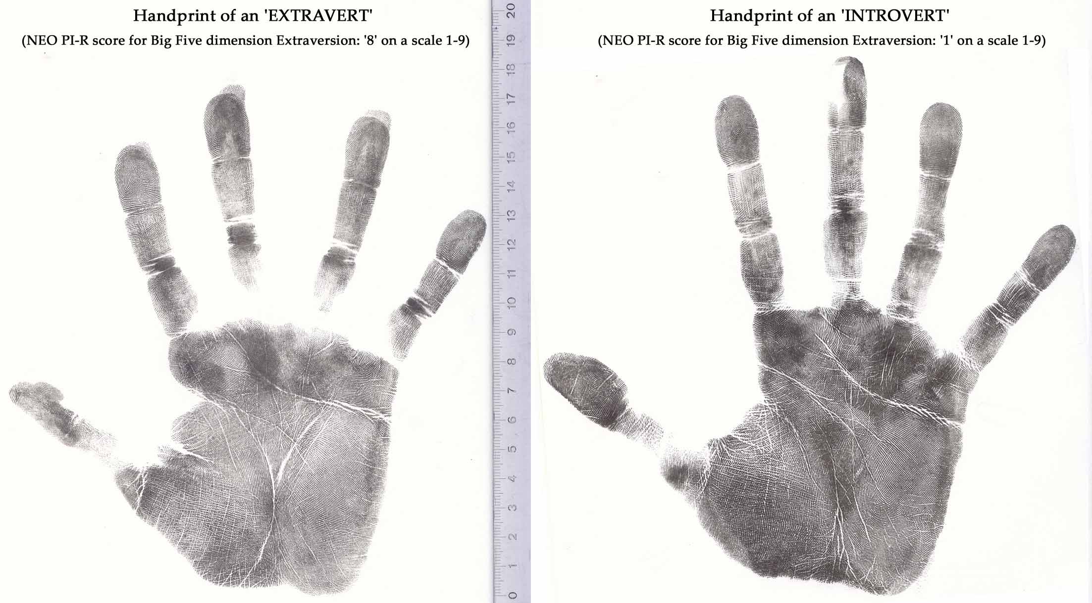 The hand print of an extravert + the handprint of an introvert.