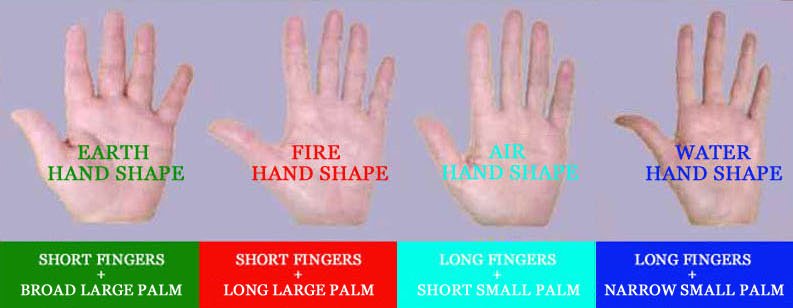 Finger length as a point of reference in the elemental hand shapes.