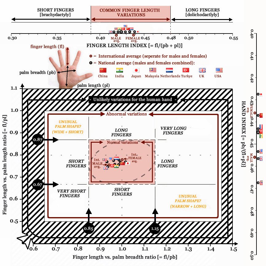 Finger length around the world: international populations.