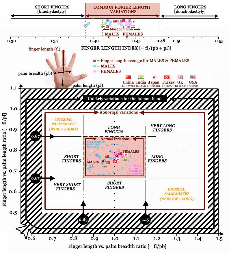 Finger length variations between males and females: data representing hands from China, Japan, India, Turkey, UK and the US.