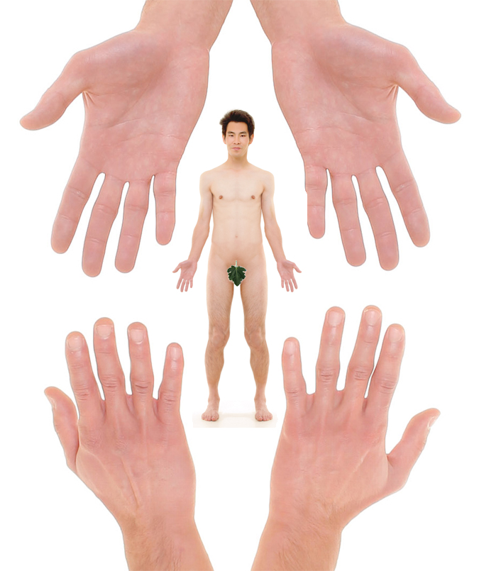 The hands of a male.