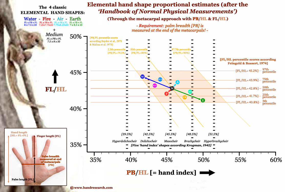 Elemental hand shape assessment through the metacarpal approach.