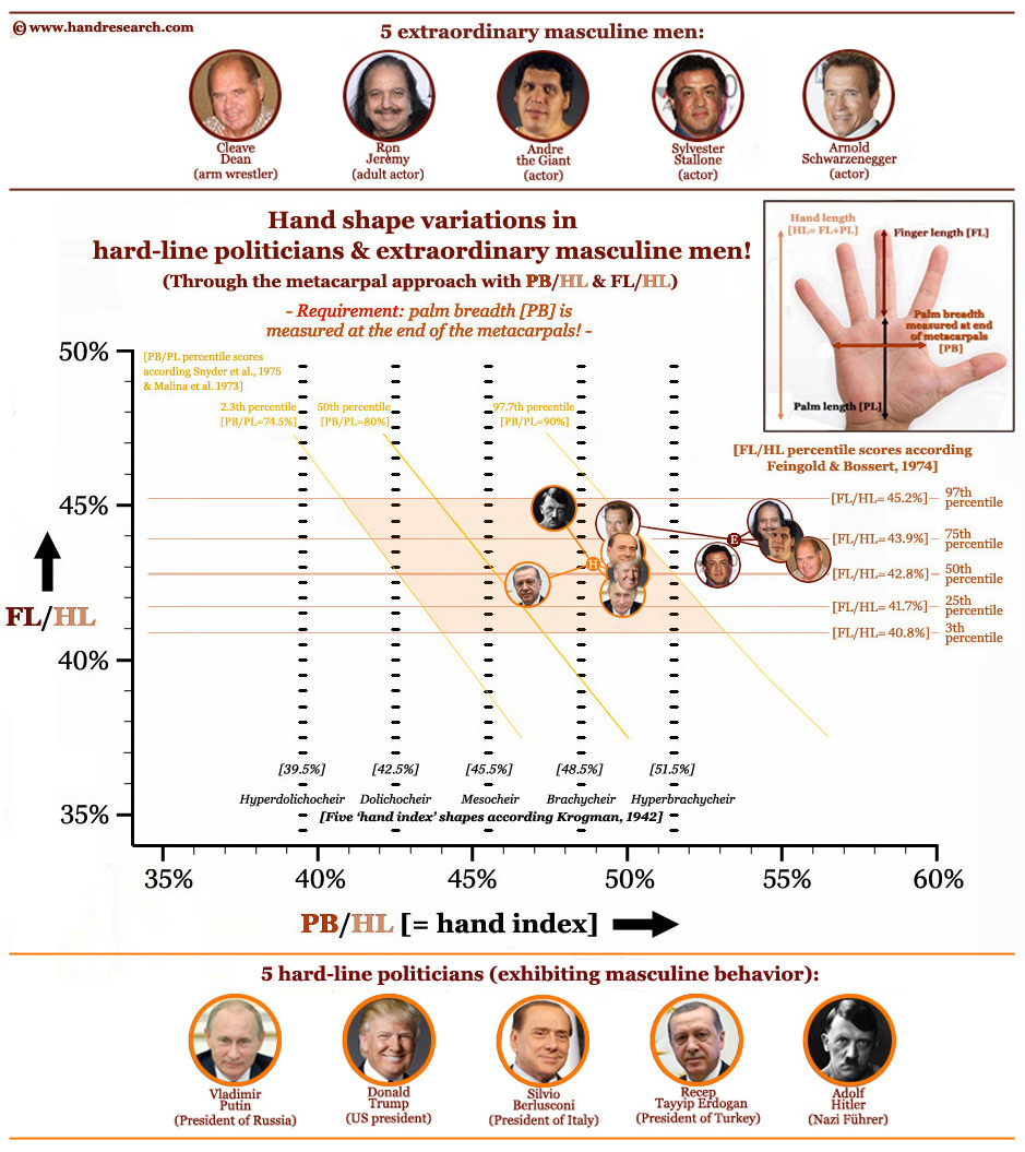 Hand shape variations in 10 masculine males - featuring: Donald Trump!