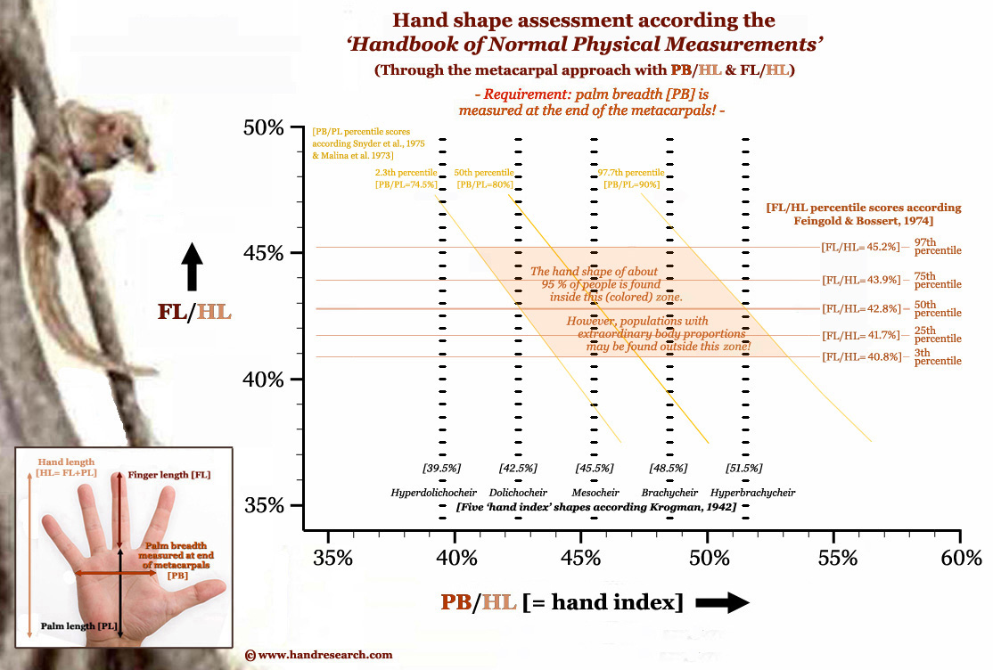 Common hand shapes according the Handbook of Normal Physical Measurements.