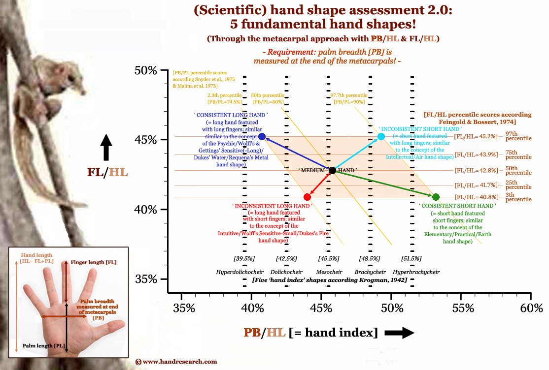 Hand shape scientific assessment 2.0: hand index & finger length combined.