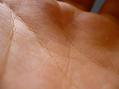 Hand lines, an impression from a hand hand.