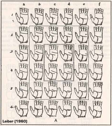 Leiber (1960) presented theoretical sets of primary palm crease variations.