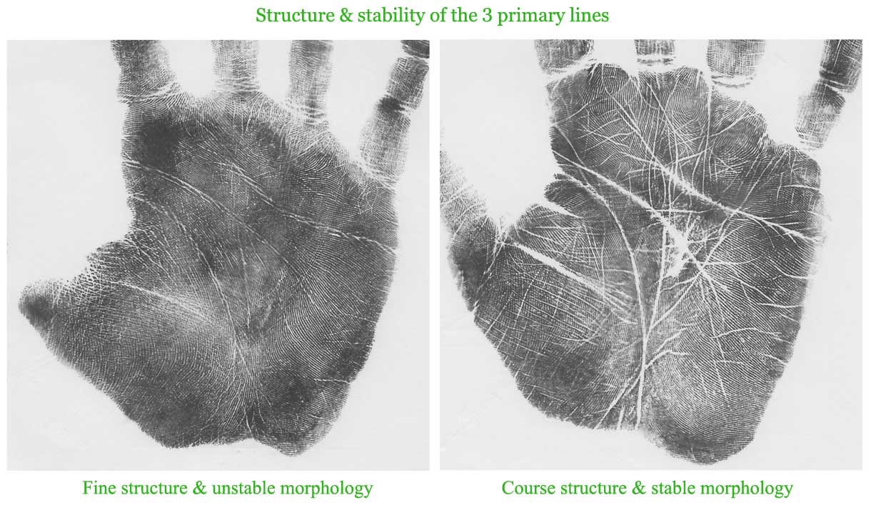 Structure and stability of the 3 primary lines: fine structure & stable morphology versus course structure & stable morphology.