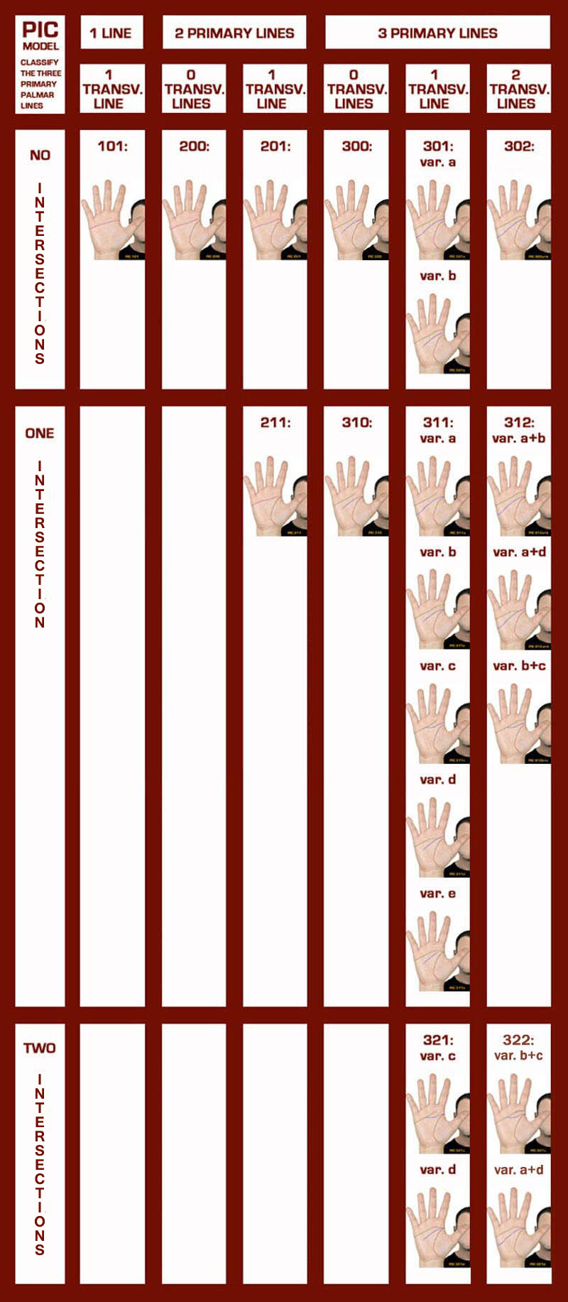 The PIC model describes common variations for the 3 major palmar lines.