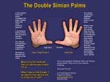 Tribute: the double simian palms