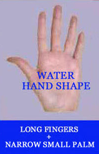 Water hand shape: longer fingers + long small palm.