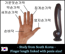 Finger length & penis lenght linked!