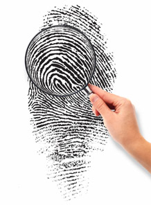 Fingerprints: 18 pattern types.