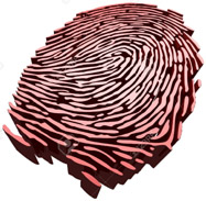 Fingerprint shape.