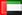United Arab Emirates flag - hand reading network