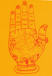 Djana Mileta - handanalist