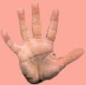 Right hand palm reading