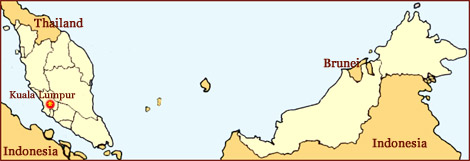 The Palm Reading Network in Malaysia!