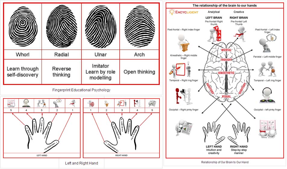 The fingerprint pattern predicts behavior hypothesis according Professor Lin.