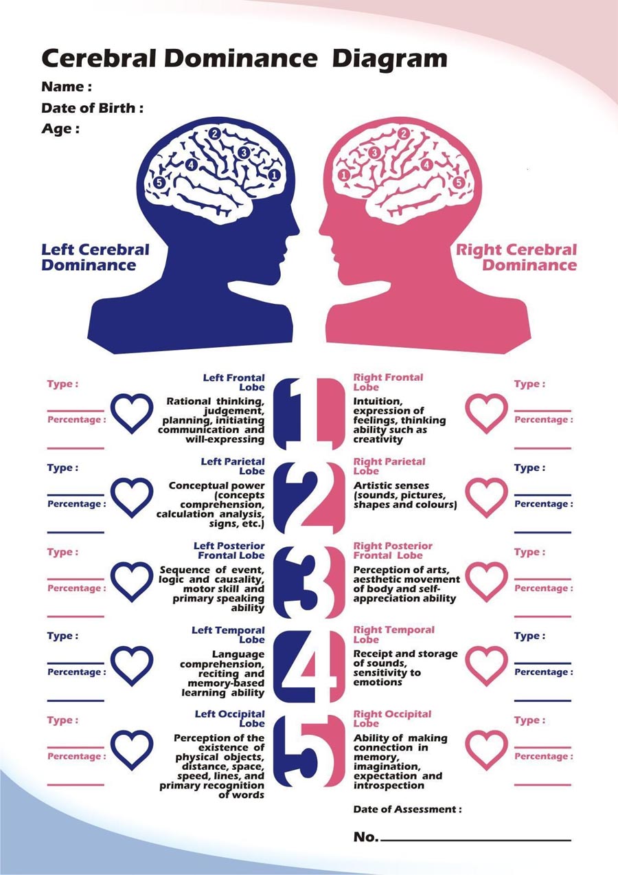 The finger-brain lobe connections according Mary Lai.